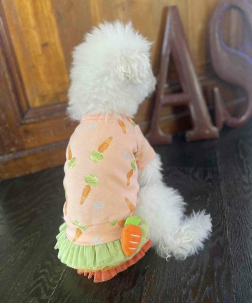 画像4:  【10%OFF】 【as know as de wan】NにんじんチュチュSK (4)