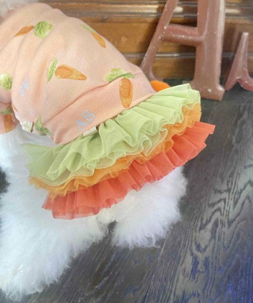 画像3:  【10%OFF】 【as know as de wan】NにんじんチュチュSK (3)