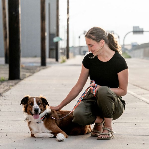 画像6: 【首輪】WOLF GANG /Mountain Vibes COLLAR (6)