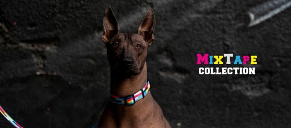 画像3: 【リード】WOLF GANG /Mix Tape LEASH (3)