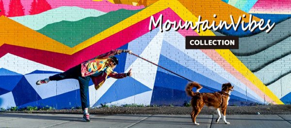 画像3: 【首輪】WOLF GANG /Mountain Vibes COLLAR (3)