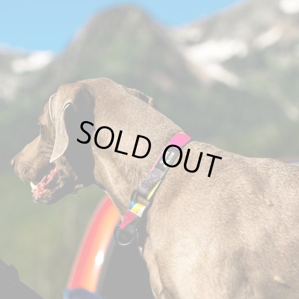 画像6: 【首輪】WOLF GANG /Bone Yard COLLAR (6)