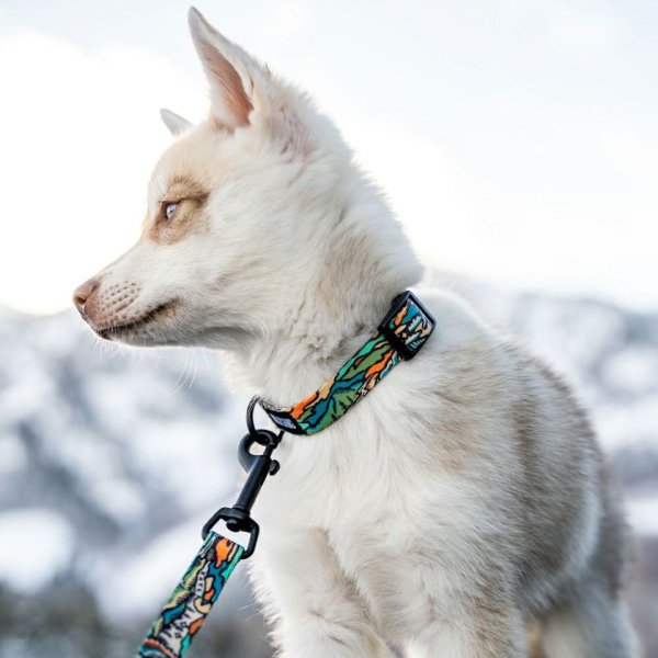 画像9: 【首輪】WOLF GANG /Wild Wolf COLLAR (9)