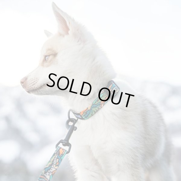 画像9: 【首輪】WOLF GANG /Wild Wolf COLLAR (9)