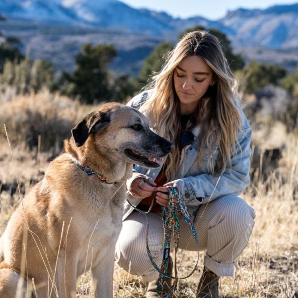 画像21: 【首輪】WOLF GANG /Wild Wolf COLLAR (21)