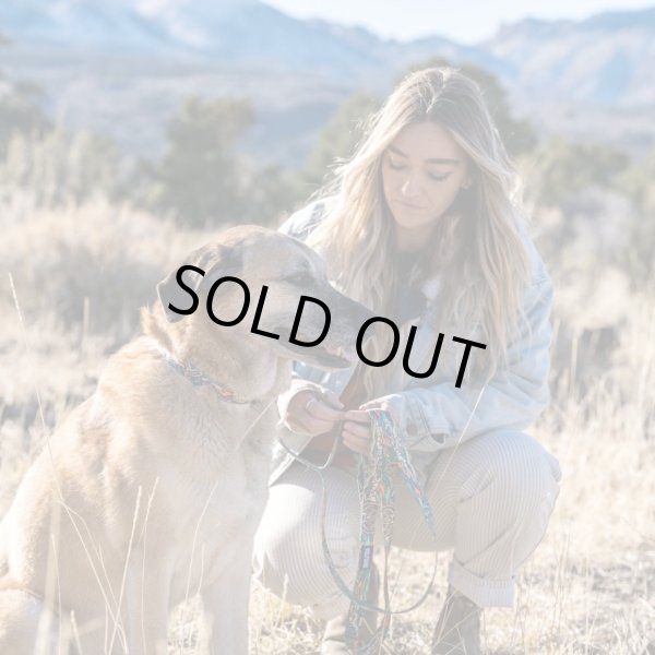 画像21: 【首輪】WOLF GANG /Wild Wolf COLLAR (21)