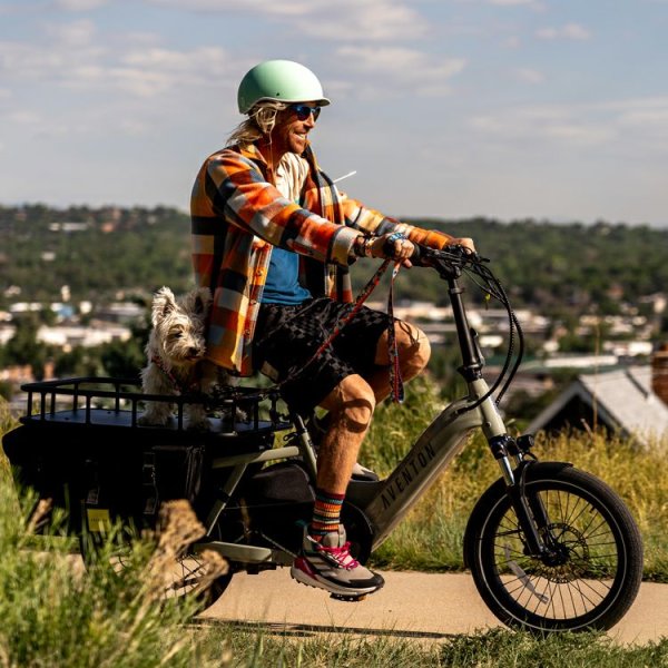 画像15: 【首輪】WOLF GANG /Mountain Vibes COLLAR (15)