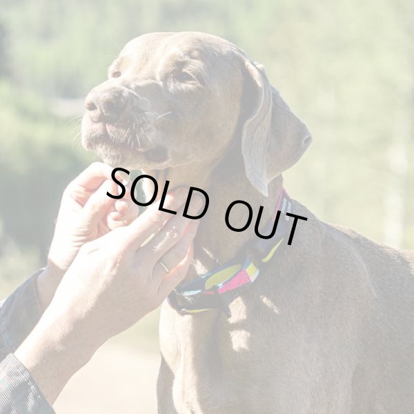 画像5: 【首輪】WOLF GANG /Bone Yard COLLAR (5)