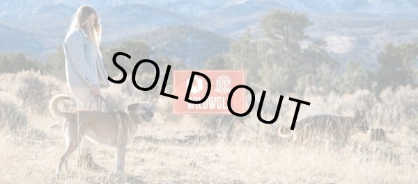 画像3: 【首輪】WOLF GANG /Wild Wolf COLLAR (3)