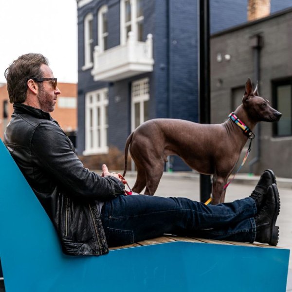 画像25: 【リード】WOLF GANG /Mix Tape LEASH (25)