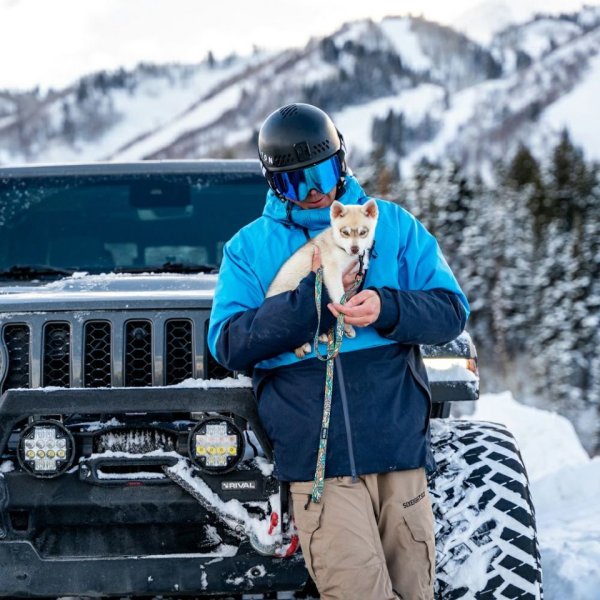 画像6: 【首輪】WOLF GANG /Wild Wolf COLLAR (6)