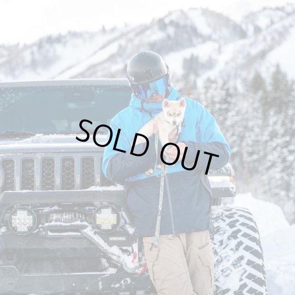 画像6: 【首輪】WOLF GANG /Wild Wolf COLLAR (6)