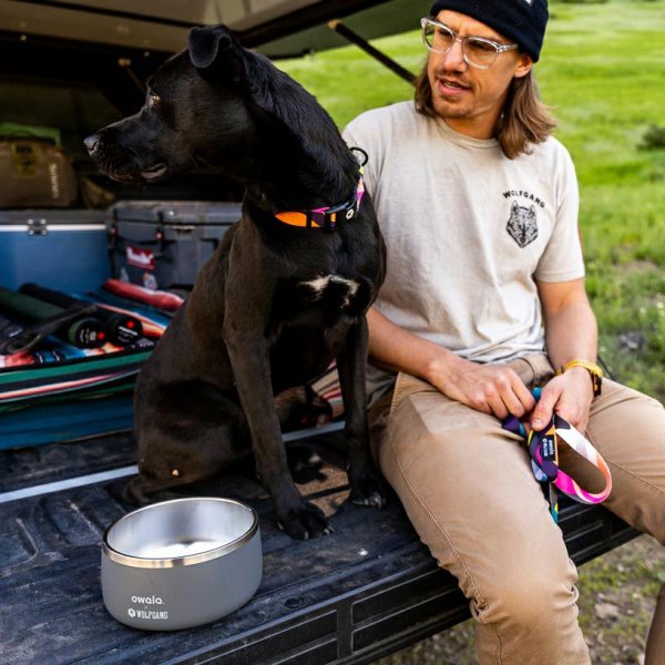 画像4: 【リード】WOLF GANG /Bone Yard LEASH (4)