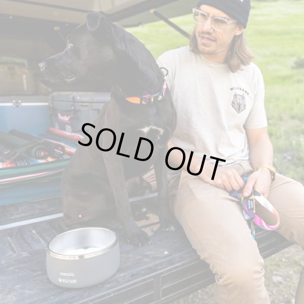 画像15: 【首輪】WOLF GANG /Bone Yard COLLAR (15)