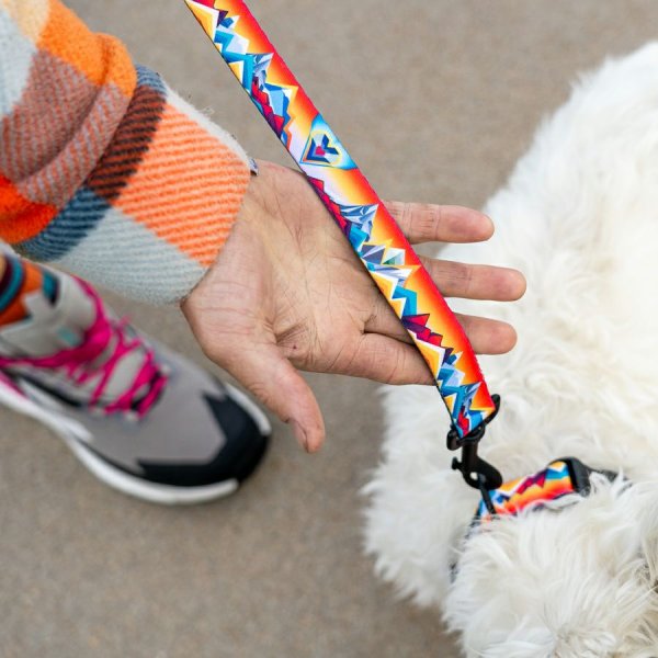 画像12: 【首輪】WOLF GANG /Mountain Vibes COLLAR (12)