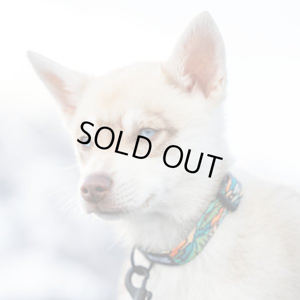 画像10: 【首輪】WOLF GANG /Wild Wolf COLLAR (10)