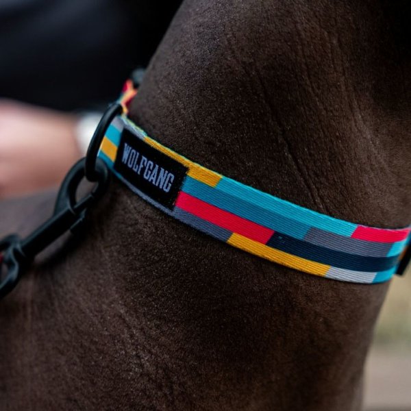 画像26: 【リード】WOLF GANG /Mix Tape LEASH (26)