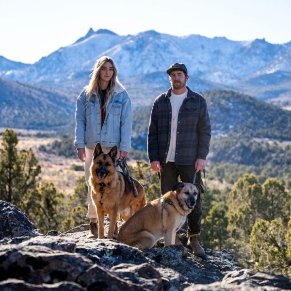 画像31: 【首輪】WOLF GANG /Wild Wolf COLLAR (31)