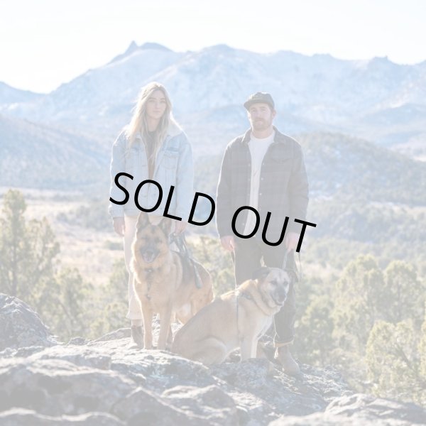 画像31: 【首輪】WOLF GANG /Wild Wolf COLLAR (31)