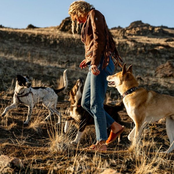 画像8: 【リード】WOLF GANG /Sand Flats LEASH (8)