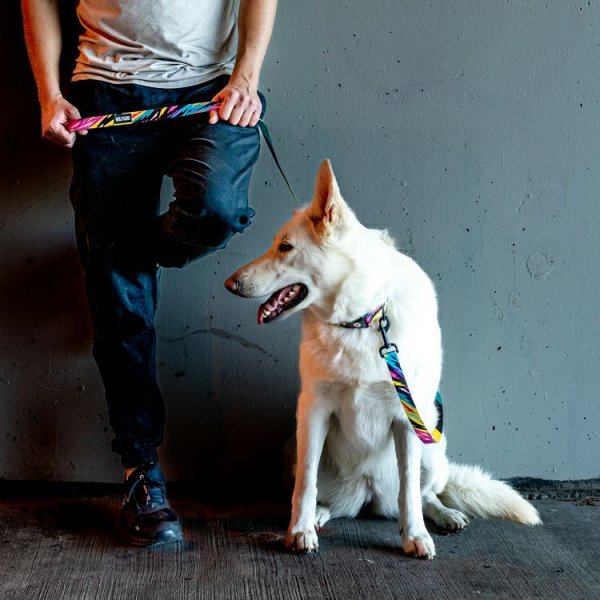 画像10: 【リード】WOLF GANG /Fuzzy Tails LEASH (10)