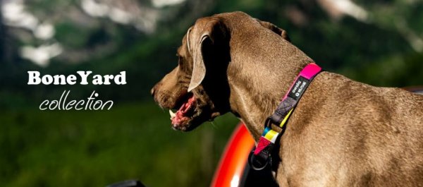 画像3: 【リード】WOLF GANG /Bone Yard LEASH (3)