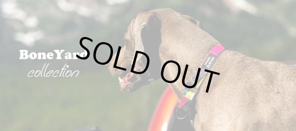 画像4: 【首輪】WOLF GANG /Bone Yard COLLAR (4)