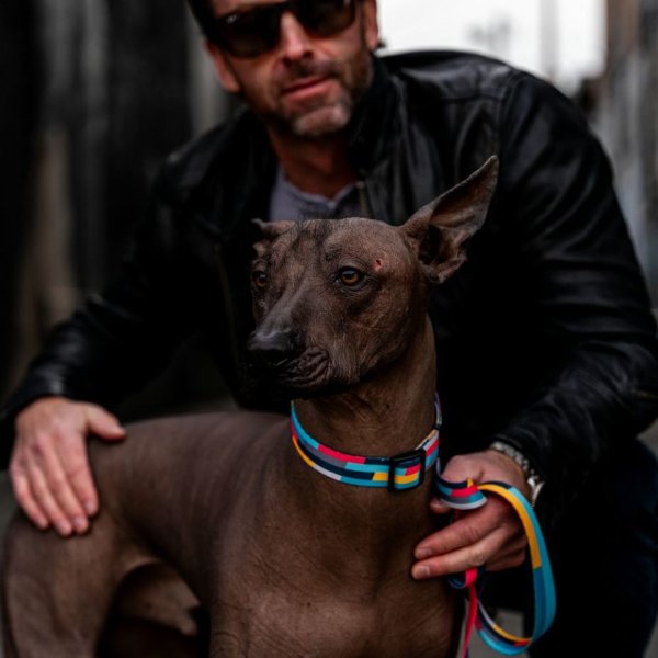 画像16: 【リード】WOLF GANG /Mix Tape LEASH (16)