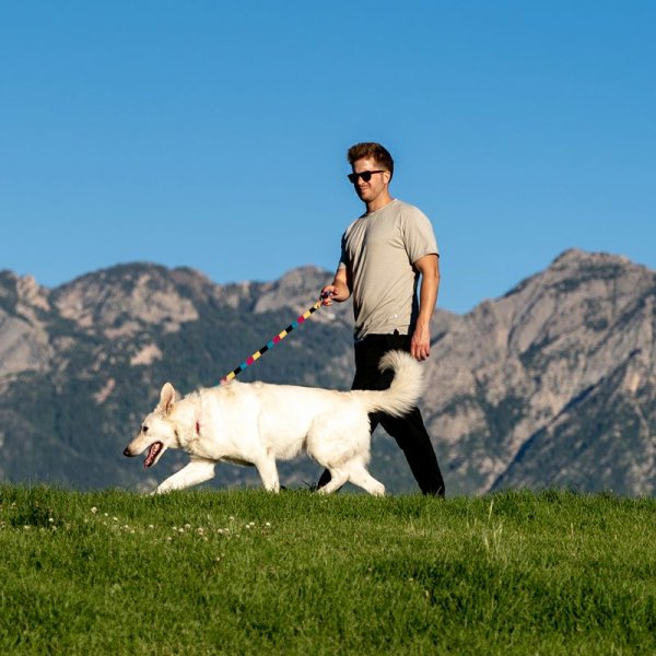 画像19: 【リード】WOLF GANG /Fuzzy Tails LEASH (19)