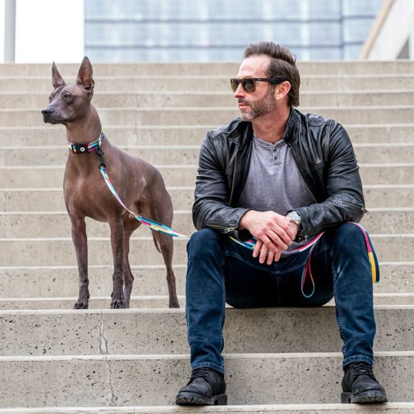 画像29: 【リード】WOLF GANG /Mix Tape LEASH (29)