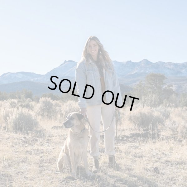 画像22: 【首輪】WOLF GANG /Wild Wolf COLLAR (22)