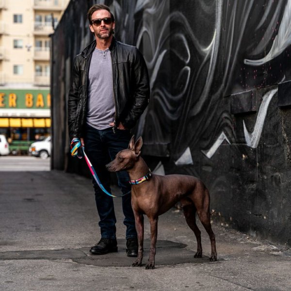 画像7: 【リード】WOLF GANG /Mix Tape LEASH (7)