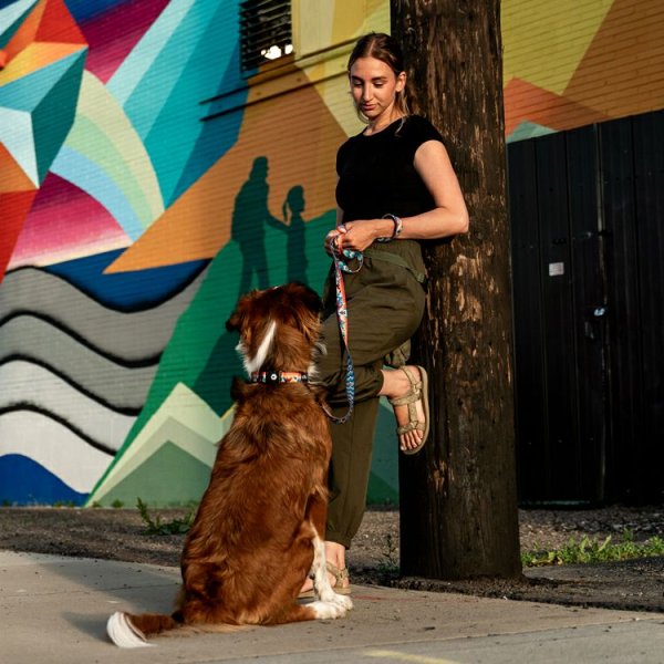 画像7: 【首輪】WOLF GANG /Mountain Vibes COLLAR (7)