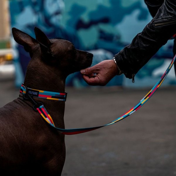 画像12: 【リード】WOLF GANG /Mix Tape LEASH (12)