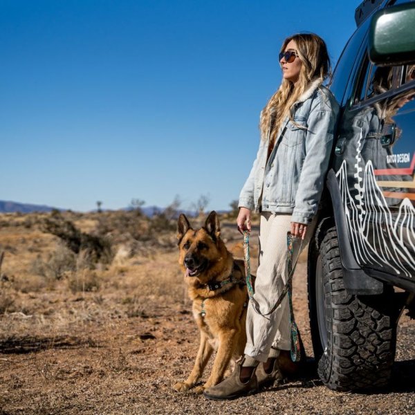 画像29: 【首輪】WOLF GANG /Wild Wolf COLLAR (29)