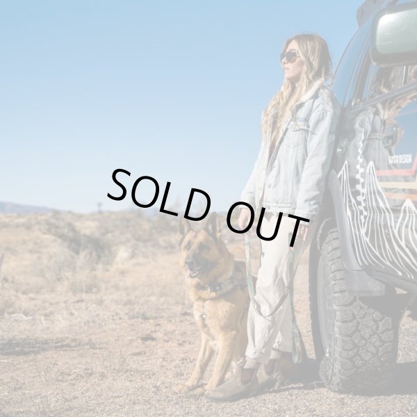 画像29: 【首輪】WOLF GANG /Wild Wolf COLLAR (29)