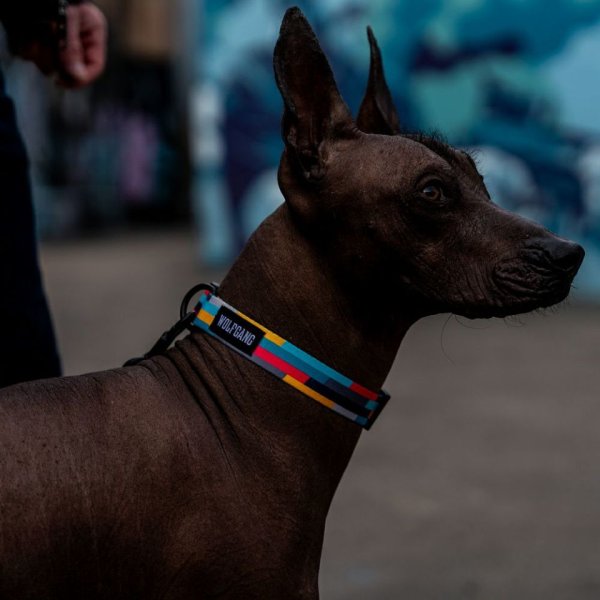 画像11: 【リード】WOLF GANG /Mix Tape LEASH (11)