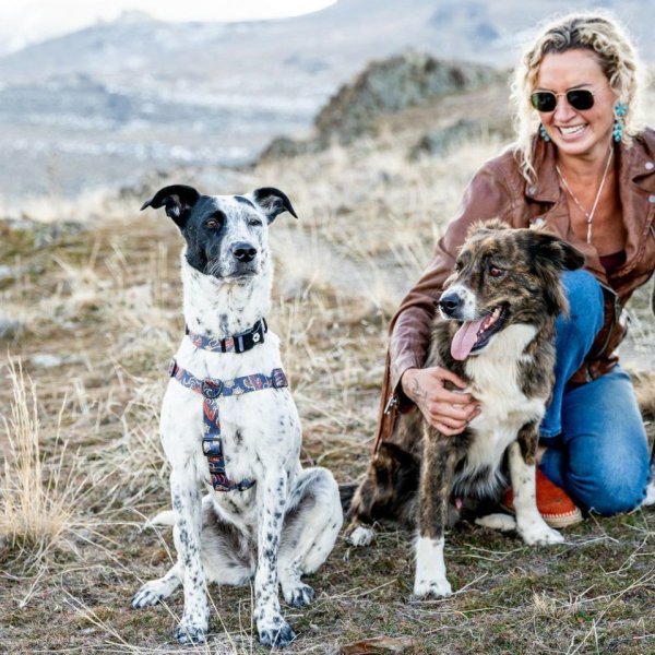 画像11: 【リード】WOLF GANG /Sand Flats LEASH (11)