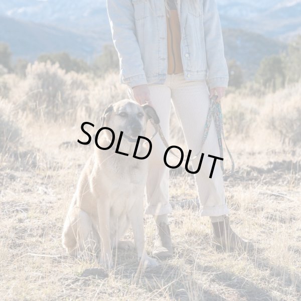 画像24: 【首輪】WOLF GANG /Wild Wolf COLLAR (24)