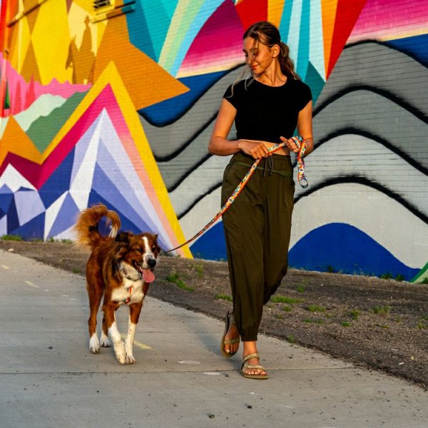 画像8: 【首輪】WOLF GANG /Mountain Vibes COLLAR (8)