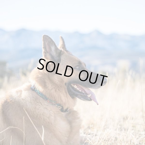 画像16: 【首輪】WOLF GANG /Wild Wolf COLLAR (16)