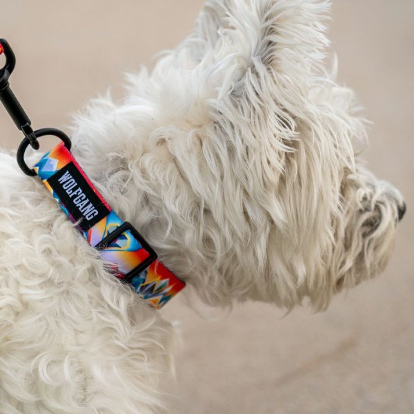 画像13: 【首輪】WOLF GANG /Mountain Vibes COLLAR (13)