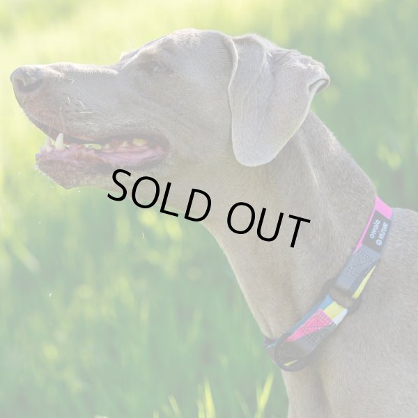 画像10: 【首輪】WOLF GANG /Bone Yard COLLAR (10)