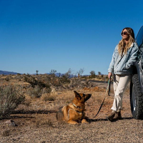 画像28: 【首輪】WOLF GANG /Wild Wolf COLLAR (28)