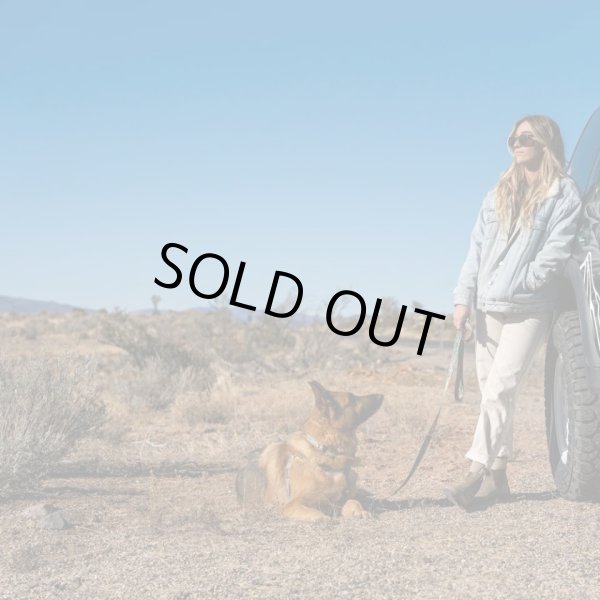 画像28: 【首輪】WOLF GANG /Wild Wolf COLLAR (28)