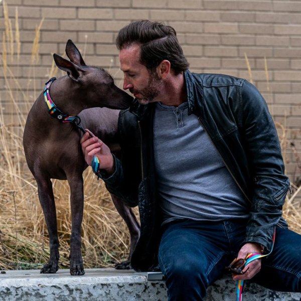 画像23: 【リード】WOLF GANG /Mix Tape LEASH (23)