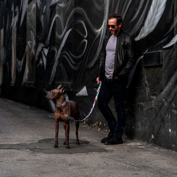 画像8: 【リード】WOLF GANG /Mix Tape LEASH (8)