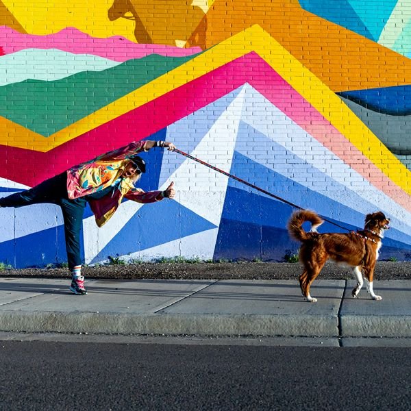 画像4: 【首輪】WOLF GANG /Mountain Vibes COLLAR (4)