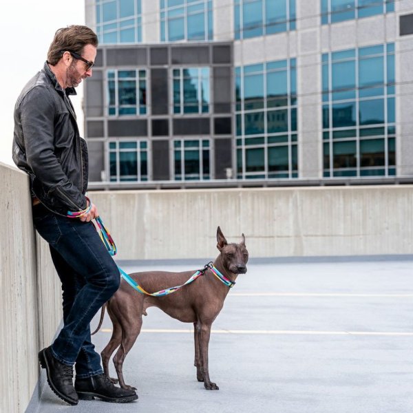 画像30: 【リード】WOLF GANG /Mix Tape LEASH (30)