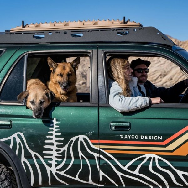 画像13: 【首輪】WOLF GANG /Wild Wolf COLLAR (13)